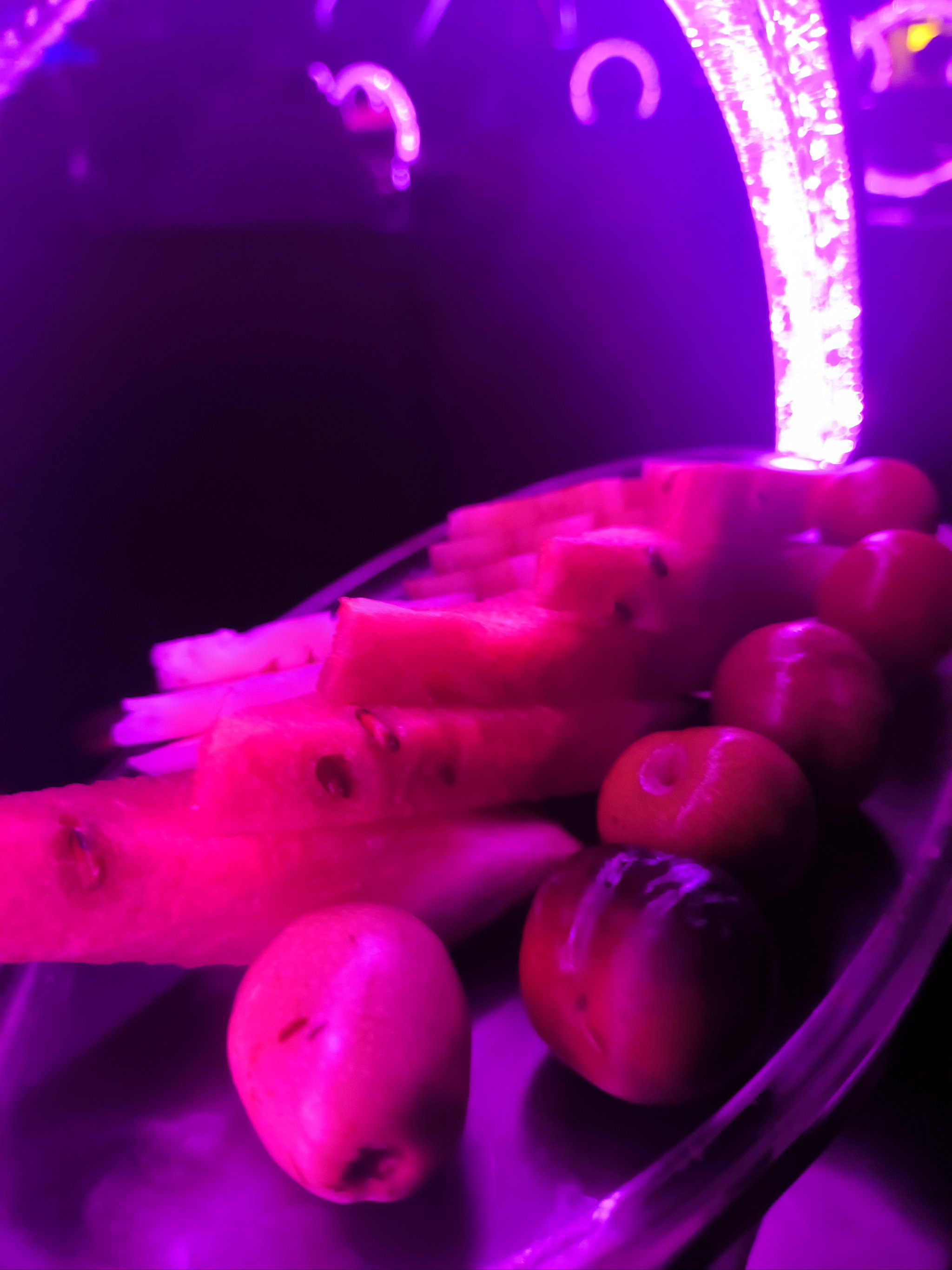 黑河商务ktv，划算体验不容错过-逊克县ktv预定